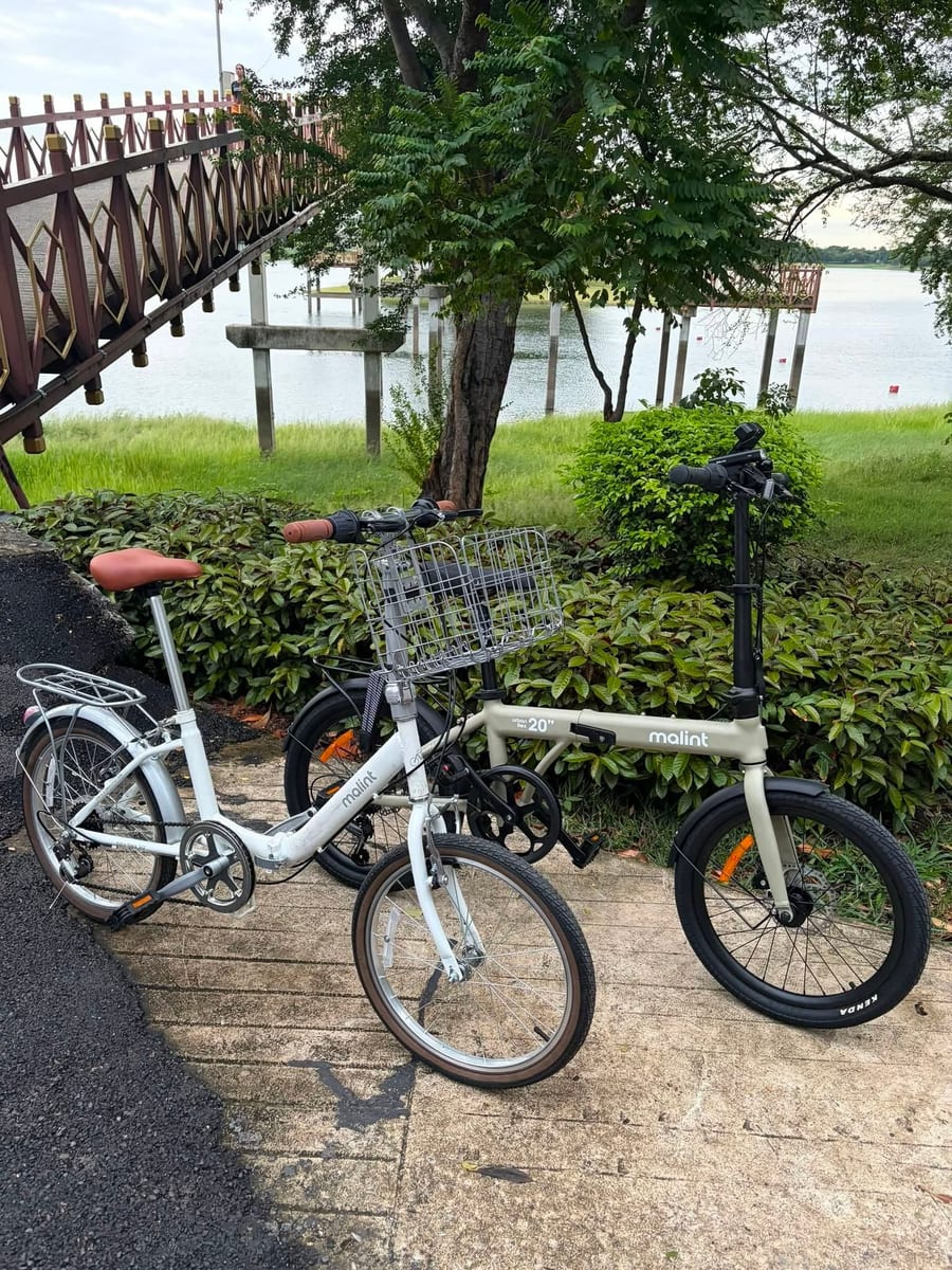 Two City Flex bicycles on a riverside path